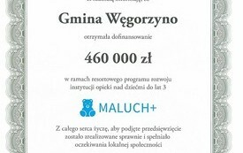 2019 - Informacja o otrzymaniu dofinansowania w ramach programu MALUCH+