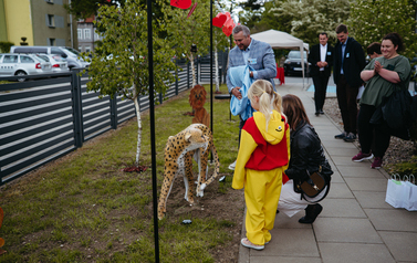 15115117-NZ3_5241