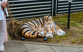 15115052-NZ3_5238