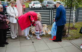 15115023-NZ3_5235