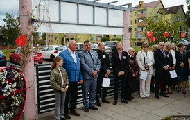 15114055-NZ3_5195